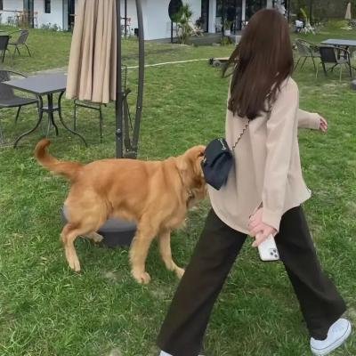 瓦德勒